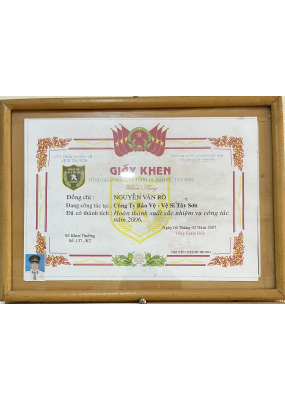 VỆ SĨ TÂY SƠN